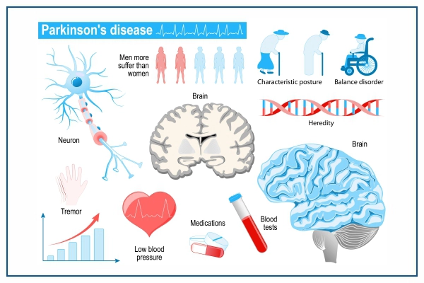 Parkinson's Disease Causes