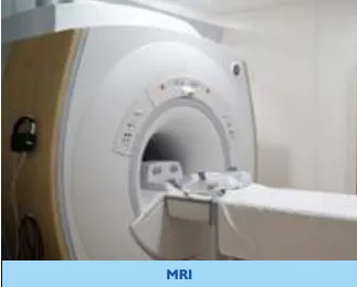 mri-scan