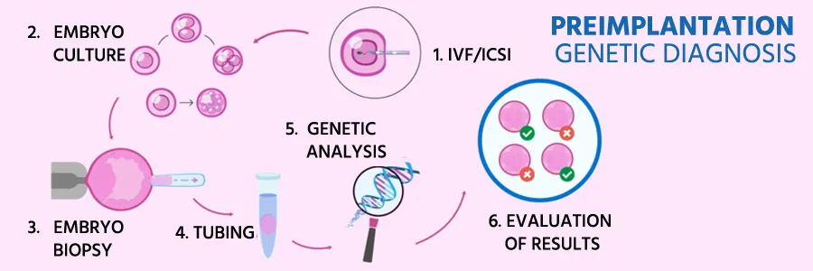 Preimplantation Genetic Diagnosis Cost