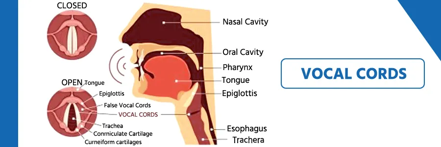 vocal-cord-surgery