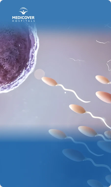 Boost Your Fertility Naturally