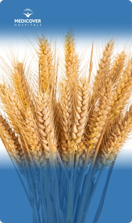 Powerful Health Benefits of Barley