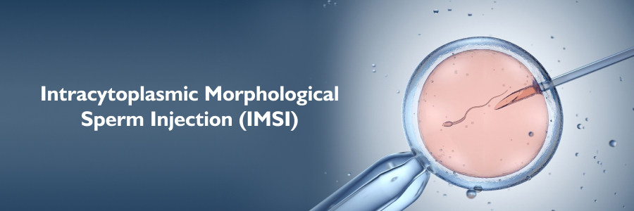 Intracytoplasmic Morphological Sperm Injection (IMSI)