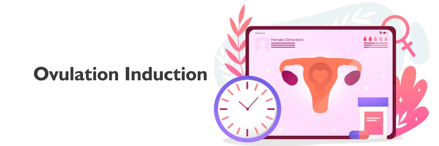 Ovulation induction